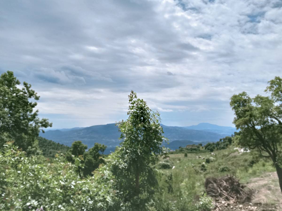 Photo village
